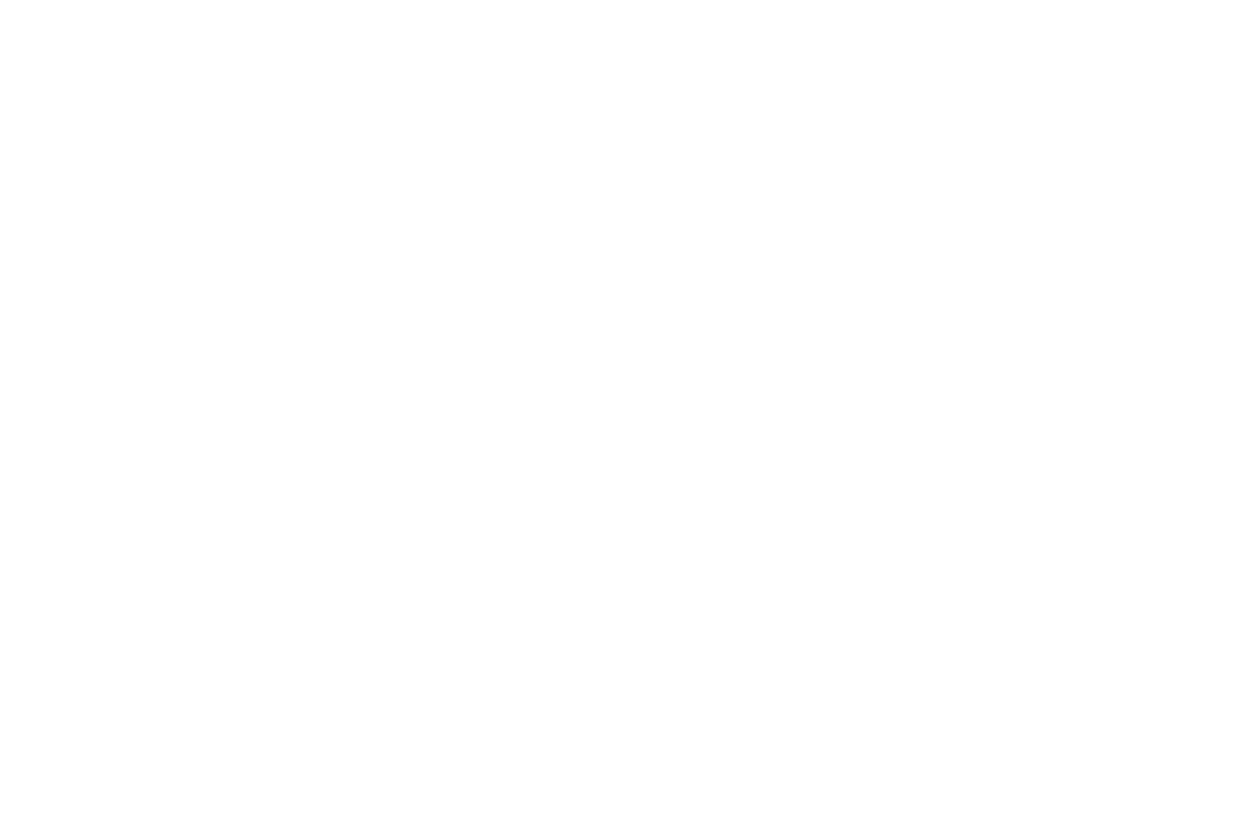 The Boltz Executive Suites